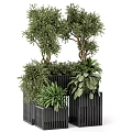 Lush Bonsai And Potted Green Plants With Various Foliage In Modern Black Planters
