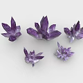 Purple Crystal Clusters Decorative Natural Gemstone Specimens With Unique Shapes 3d model