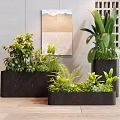 Indoor Decorative Potted Plants In Black Rectangular Planters With Green Foliage And Wall Art