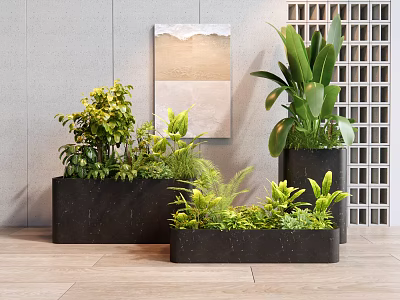 Indoor Decorative Potted Plants In Black Rectangular Planters With Green Foliage And Wall Art 3d model