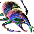 Decorative Ornament Set of Iridescent Metallic Stag Beetle Figurines for Home Decor Accent