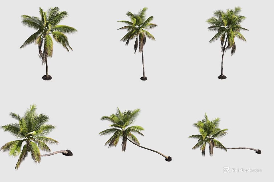 Tropical Palm Trees In Various Postures For Garden Landscaping Projects 3d model