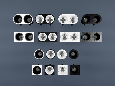 Modern Downlights and Spotlights with Various Single Double Head Black White Designs 3d model