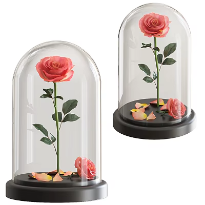 Decorative Ornament Set With Glass Dome Preserved Roses And Scattered Petals On Base 3d model