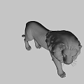 Realistic 3D Lion Model In Standing Pose With Detailed Mane And Features 3d model