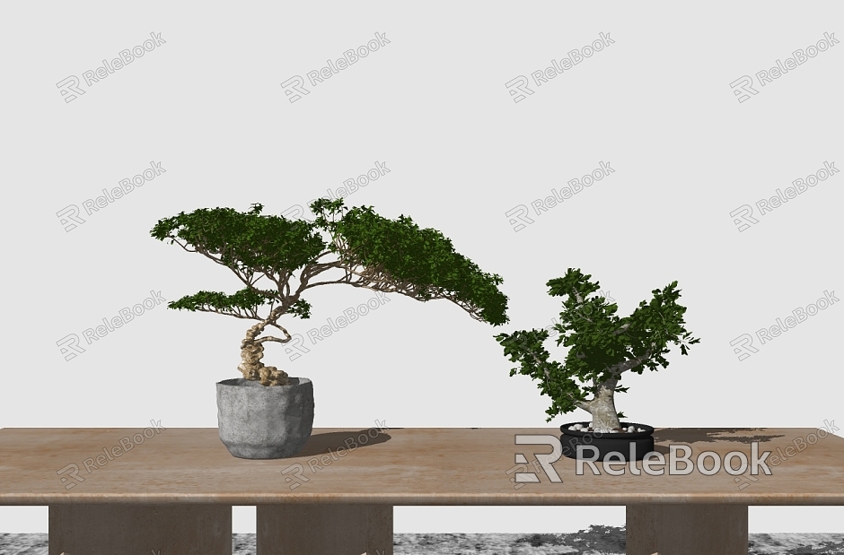 New Chinese Bonsai Green Plant model