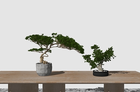 New Chinese Bonsai Green Plant 3d model