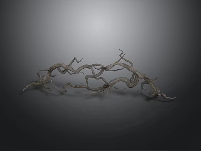 Organ And Hair Structure Resembling Twisted Dry Branches On Gray Background 3d model