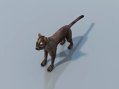 Realistic 3D Reptile Model With Brown Skin Standing On Light Blue Background 3d model