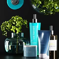 Elegant Daily Cleansing Skincare Products With Blue Bottles Green Plants And Transparent Vase