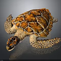 Decorative Sea Turtle Figurine With Orange Brown Patterned Carapace And Spotted Limbs On Black Background