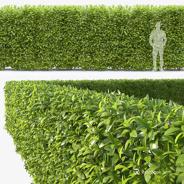 Tall Lush Green Shrubs Create Dense Natural Backdrop For Outdoor Garden Space 3d model 