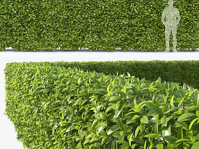 Tall Lush Green Shrubs Create Dense Natural Backdrop For Outdoor Garden Space 3d model