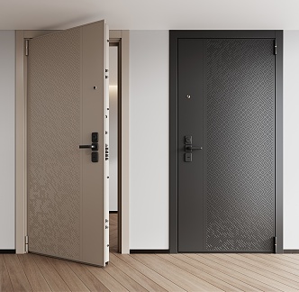 Security Door Entry Door 3d model