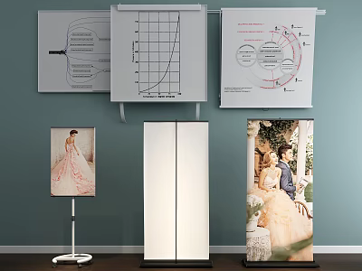 Diverse Display Shelves Featuring Wall Mounted Boards Stand Displays And Cabinets 3d model
