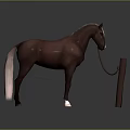 A brown horse tied to a wooden post with gray background and reflective ground