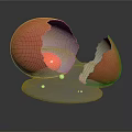 Broken Reddish Brown Eggshell With Spilled Yolk And Egg White On Dark Background
