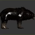 3D Rendered Fierce Bear With Thick Fur And Open Mouth