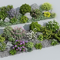 Flowers and flowers combination shrub landscape green plants flowers outdoor flowers greening flower plant combination 3d model