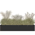 Black Rectangular Flower Planter With Green Herbaceous Plants And Feathery Plumes 3d model