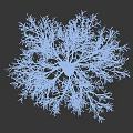 Tall Arbor With Snow Covered Branches Against Gray Background In Winter