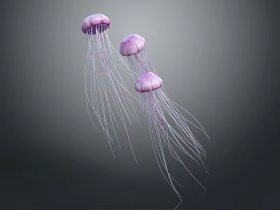 Three Purple Jellyfish With Long Tentacles Swimming In Gray Background 3d model