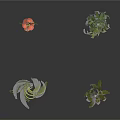 Fresh Various Herbs With Green Leaves And Red Berries Arranged