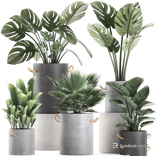 Modern Indoor Decorative Ornament Arrangement With Green Plants In Concrete Pots 3d model 