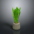 Green Leaf Plant With Striped Pattern In Gray Textured Ceramic Pot
