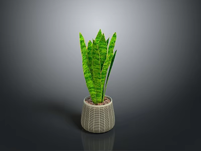 Green Leaf Plant With Striped Pattern In Gray Textured Ceramic Pot 3d model