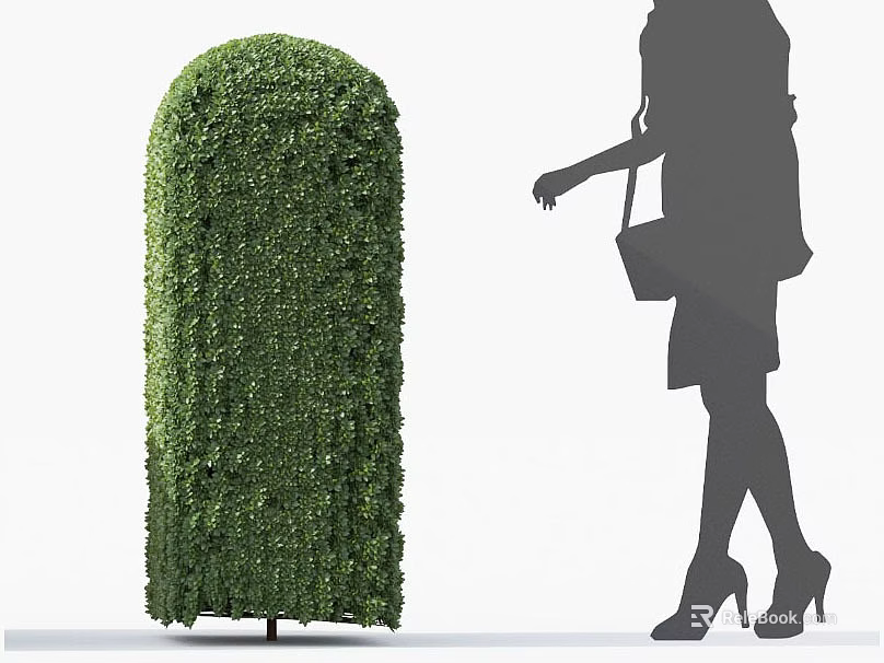 Decorative Trimmed Green Bush with Cylindrical Shape and Walking Woman Silhouette 3d model 