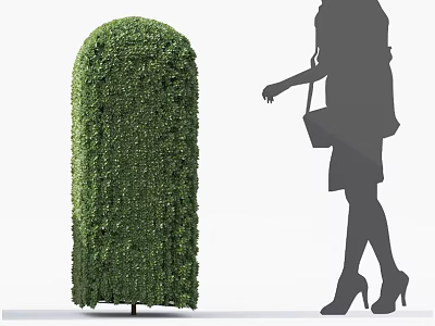 Decorative Trimmed Green Bush with Cylindrical Shape and Walking Woman Silhouette 3d model