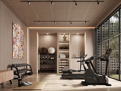 Modern Home Gym Interior With Fitness Equipment And Wooden Ceiling 3d model