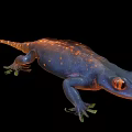 Blue Spotted Fantasy Game Or Movie Character With Orange Eyes On Black
