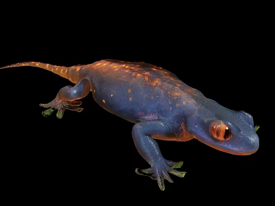 Blue Spotted Fantasy Game Or Movie Character With Orange Eyes On Black 3d model