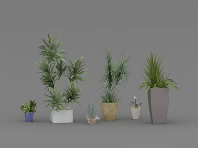 Various Potted Plants with Different Colored Pots and Leaf Shapes for Indoor Decoration 3d model