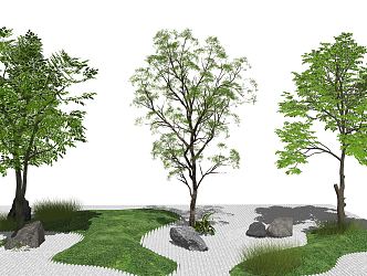 Modern tree landscape sketch dry landscape 3d model