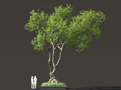 Tall Tree With Lush Green Foliage And Two People Standing Nearby 3d model