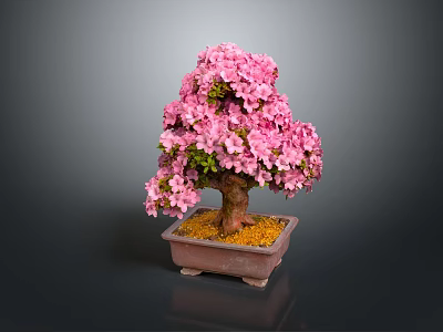 Pink Flowering Bonsai Tree With Green Leaves Brown Trunk In Square Pot 3d model