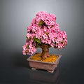 Pink Flowering Bonsai Tree With Green Leaves Brown Trunk In Square Pot