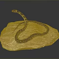 snake cobra venomous snake python reptile cold-blooded animal reptile 3d model