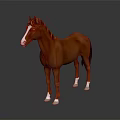 Realistic Brown Horse With White Face And White Hooves Standing On Dark Background