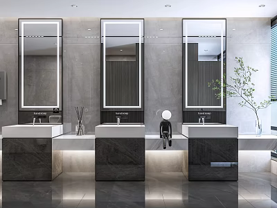 Modern Public Restroom Interior With Three Washbasins Mirrors And Green Plant 3d model
