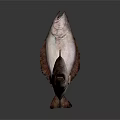 Two Fish With Brown And White Color Patterns On White Background