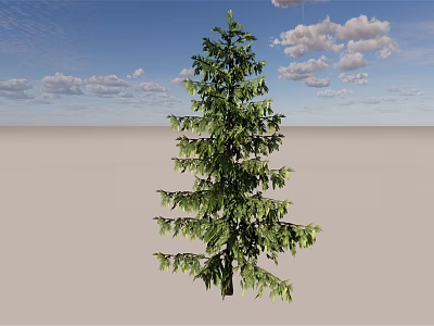 Tall Evergreen Arbor With Lush Green Foliage Against Blue Sky And White Clouds 3d model