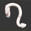 snake cobra venomous snake python reptile cold-blooded animal reptile 3d model