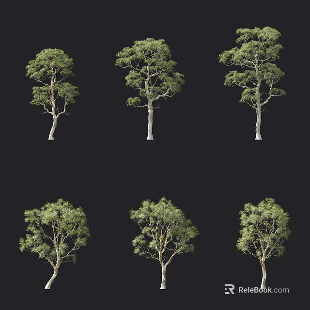 Multiple Arbor Trees With Green Foliage And Smooth Trunks On Black Background 3d model 