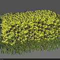 Trimmed Garden Shrubs Showcasing Round Square Shapes And Green Yellow Green Foliage