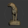 Detailed Cheetah Taxidermy Mount Standing On Rock With Information Plaque