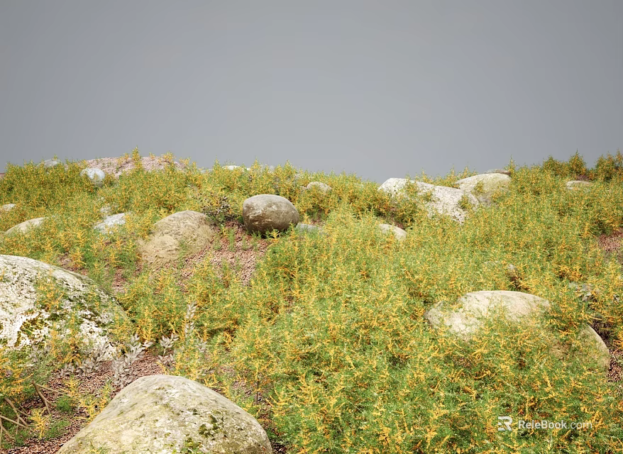 Yellow Flowering Plants Thriving Among Large Stones in Natural Outdoor Garden Area 3d model 